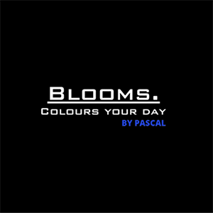 Blooms-colours-your-day