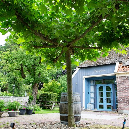 Karins Tuinshop Dakbomen