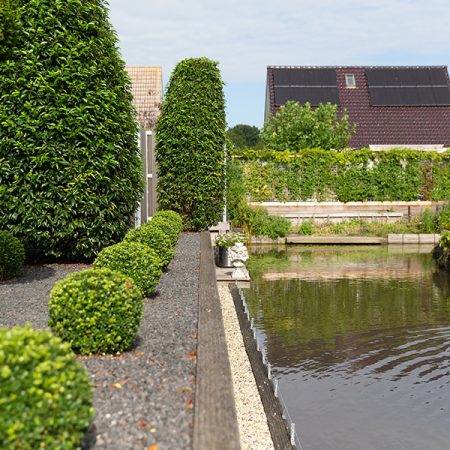 Karins Tuinshop Groenblijvende bomen