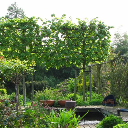 Karins tuintips Tuinshop Header Leibomen